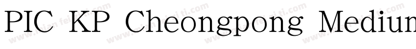 PIC KP Cheongpong Medium KP 97KPS F字体转换